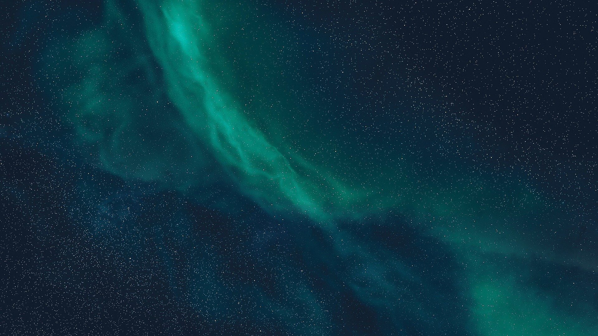 Header Image - Flores Factor
